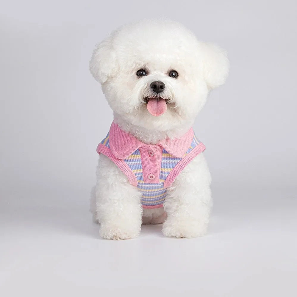 Pink purple lightweight vest for a small dog or cat, shown as autumn pet clothing.