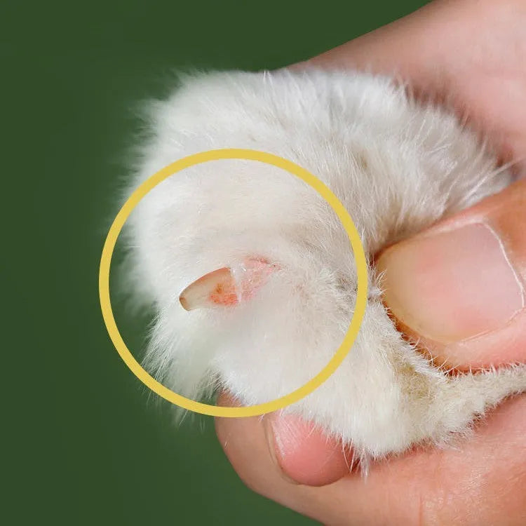 Manual cat nail clippers with round metal blade and green handle, designed for even nail cutting and split prevention