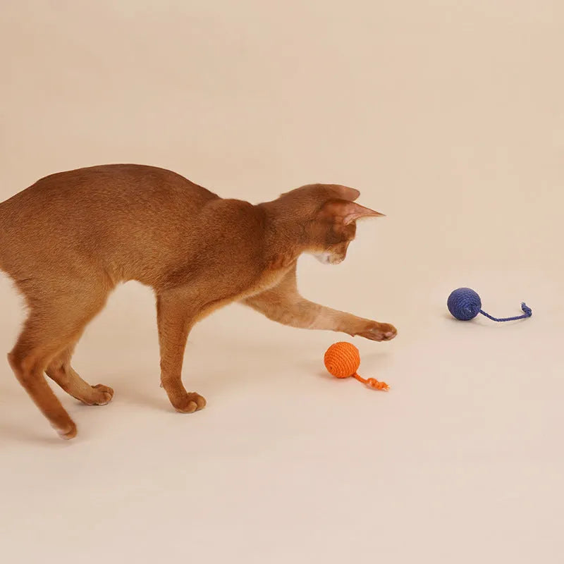 Cat toy set with teaser stick, catnip ball, and four interactive toys in blue, green, or red yellow blue colours