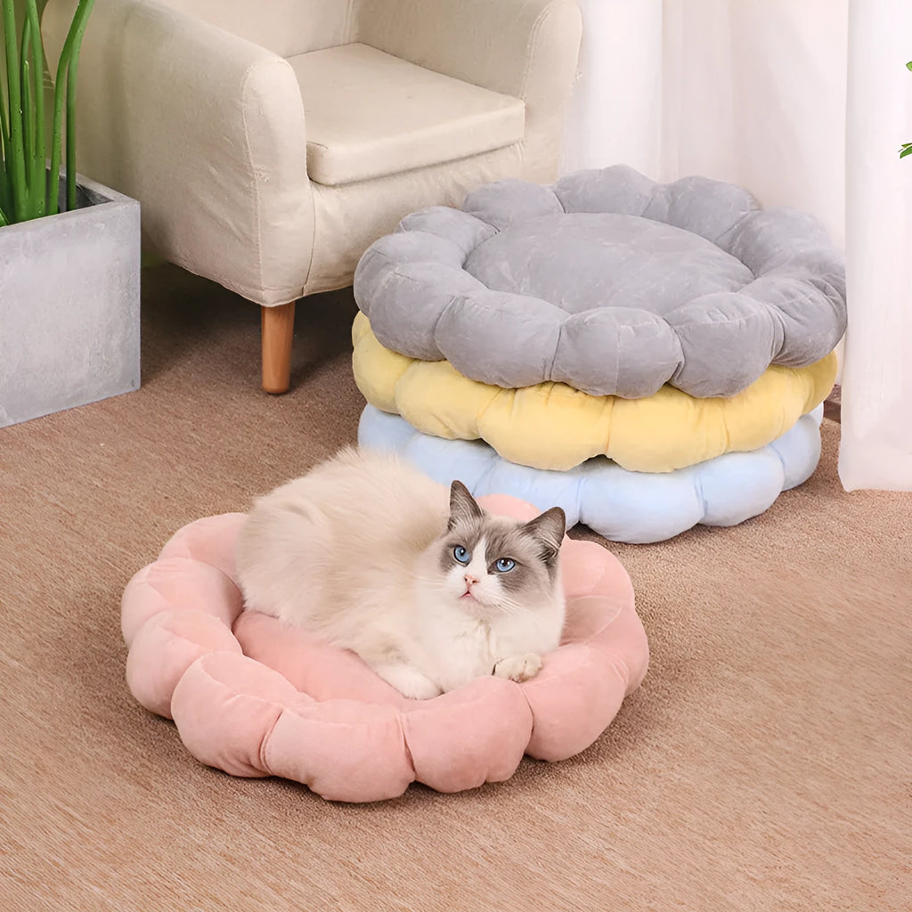 Blue half-enclosed plush pet bed measuring 50cm square for cats and small dogs.