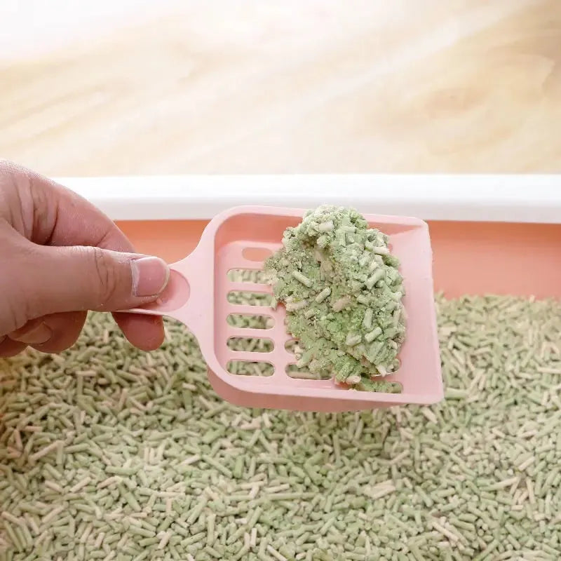 Plastic cat litter scoop in blue colour showing measurements of 20cm length and 9cm width