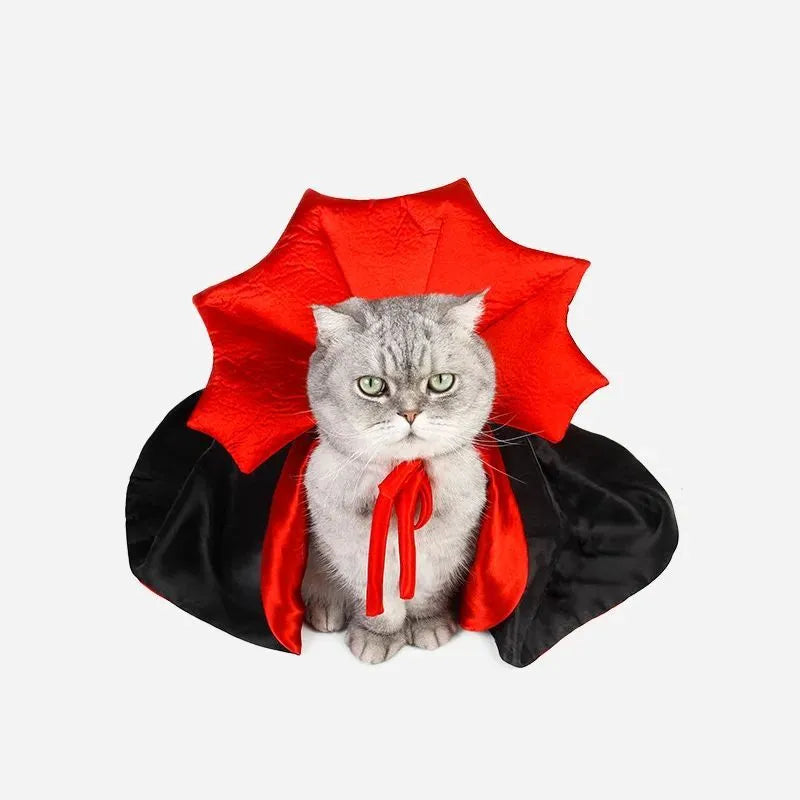 Black vampire cloak Halloween costume on a small dog or cat