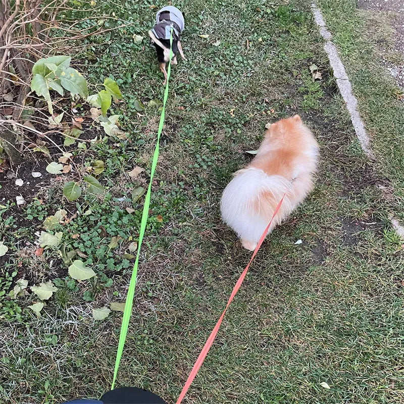 Dual retractable dog leash for small dogs with 360 swivel, flashlight, and 3m nylon ropes, in black