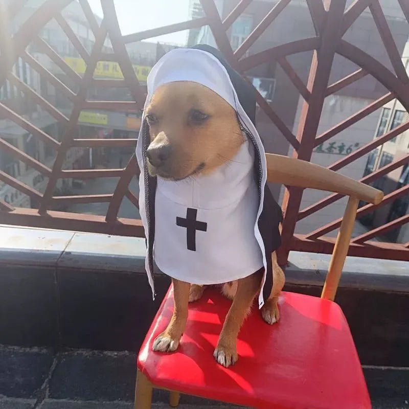 Black and white nun costume cloak for a small dog on Halloween