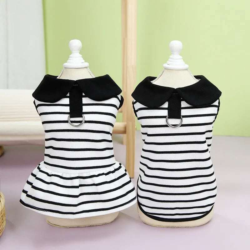 Cotton striped T-shirt and matching skirt set for a pet dog on a white background.