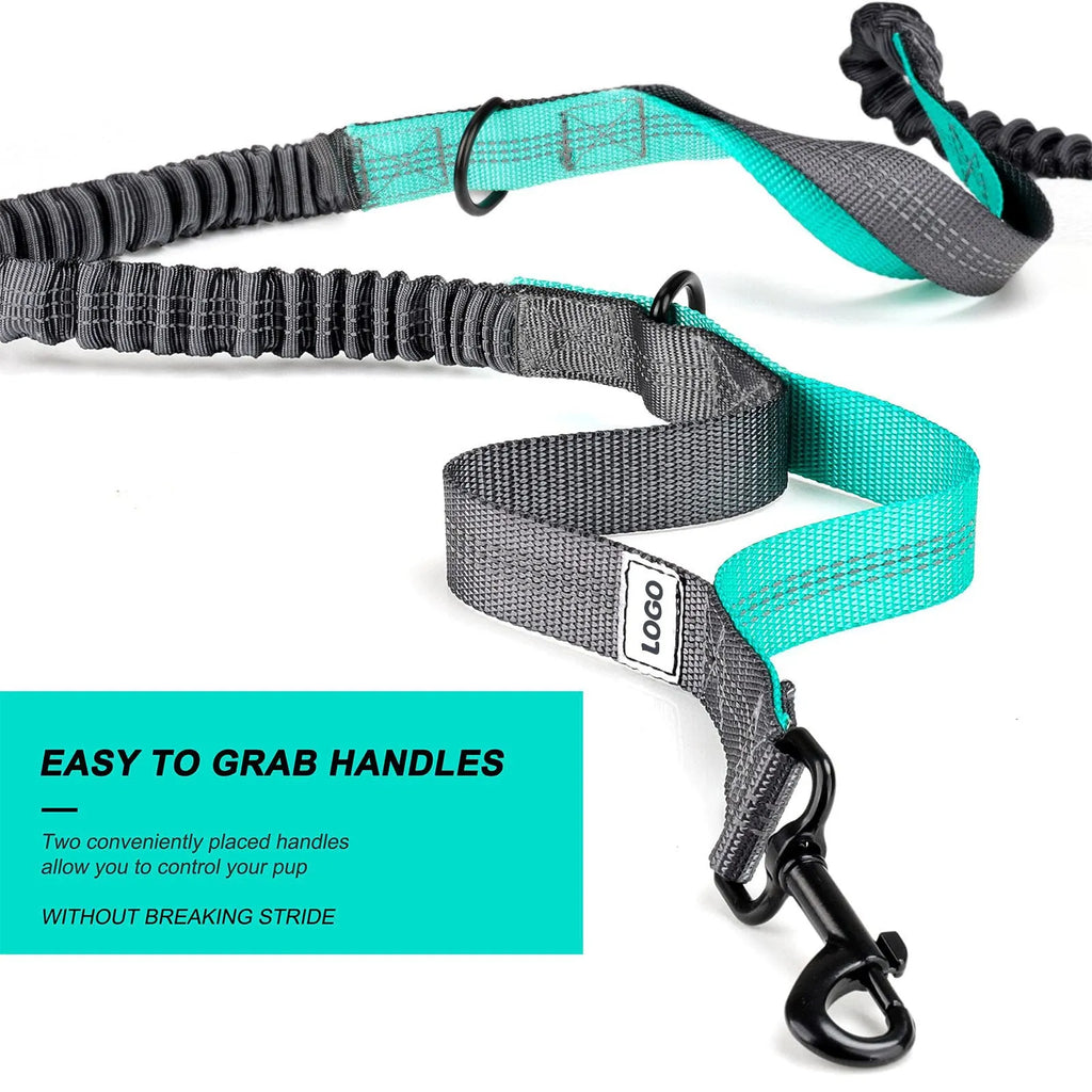 Black nylon outdoor dog walking set showing a waist bag, attached leash, and matching dog collar.