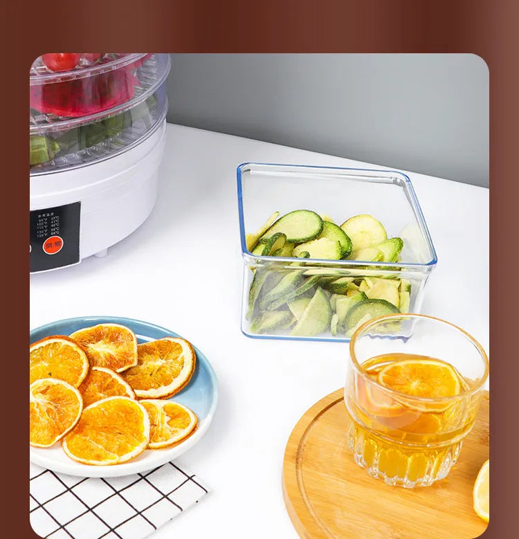 Five-layer stainless steel tray food dehydrator with British plug for home use.