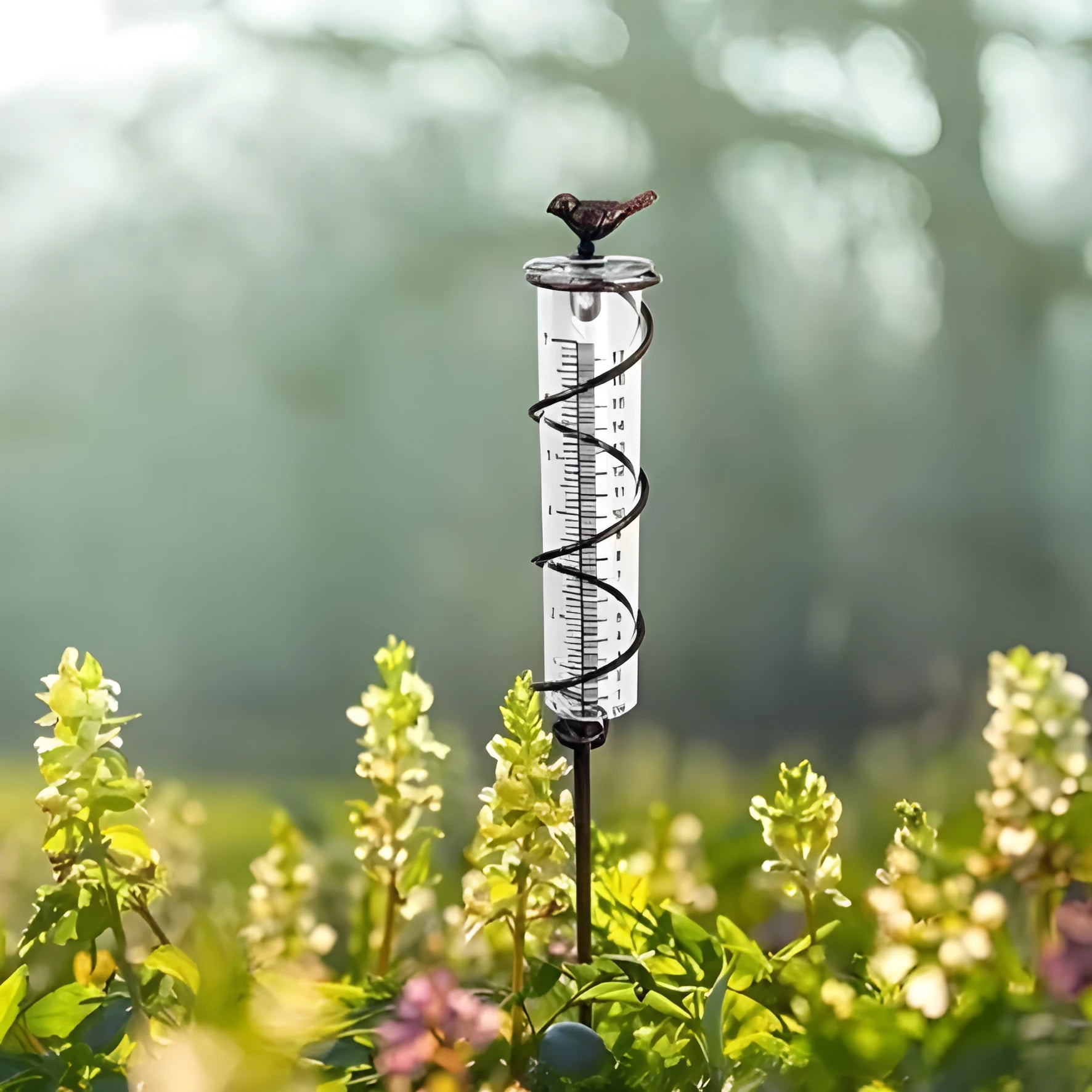Bird-shaped garden rain gauge with glass measurement cylinder showing 0-800ml capacity and 1-20 scale