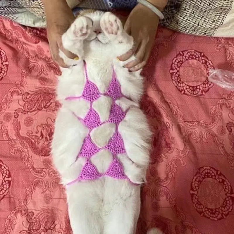 Cat wearing adjustable bikini costume in sweet style design with elastic straps