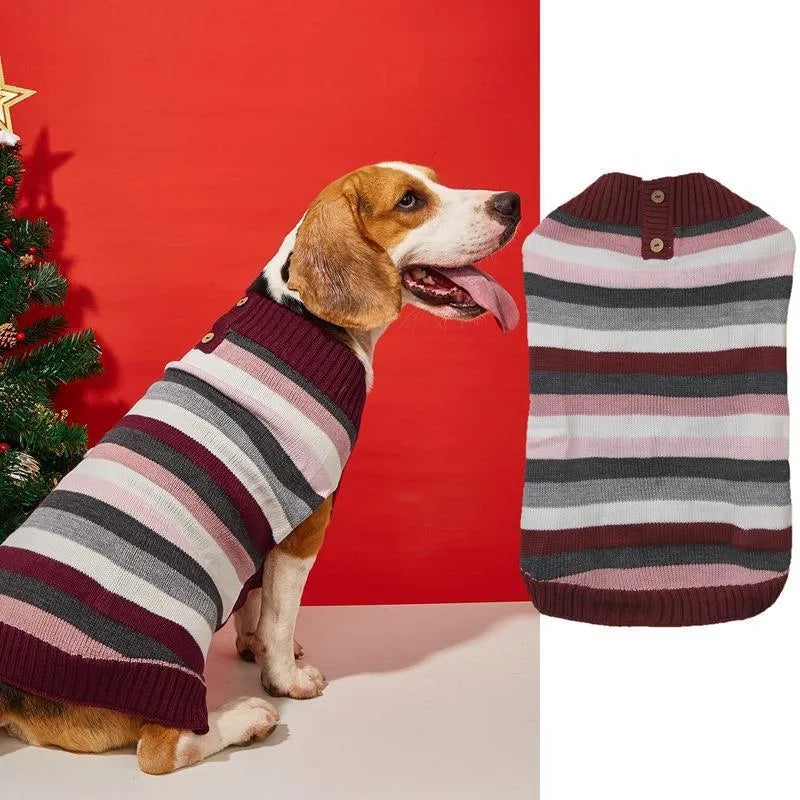 Blue dog jumper with a horizontal front zipper, a button pocket, and contrast trim on a small dog.