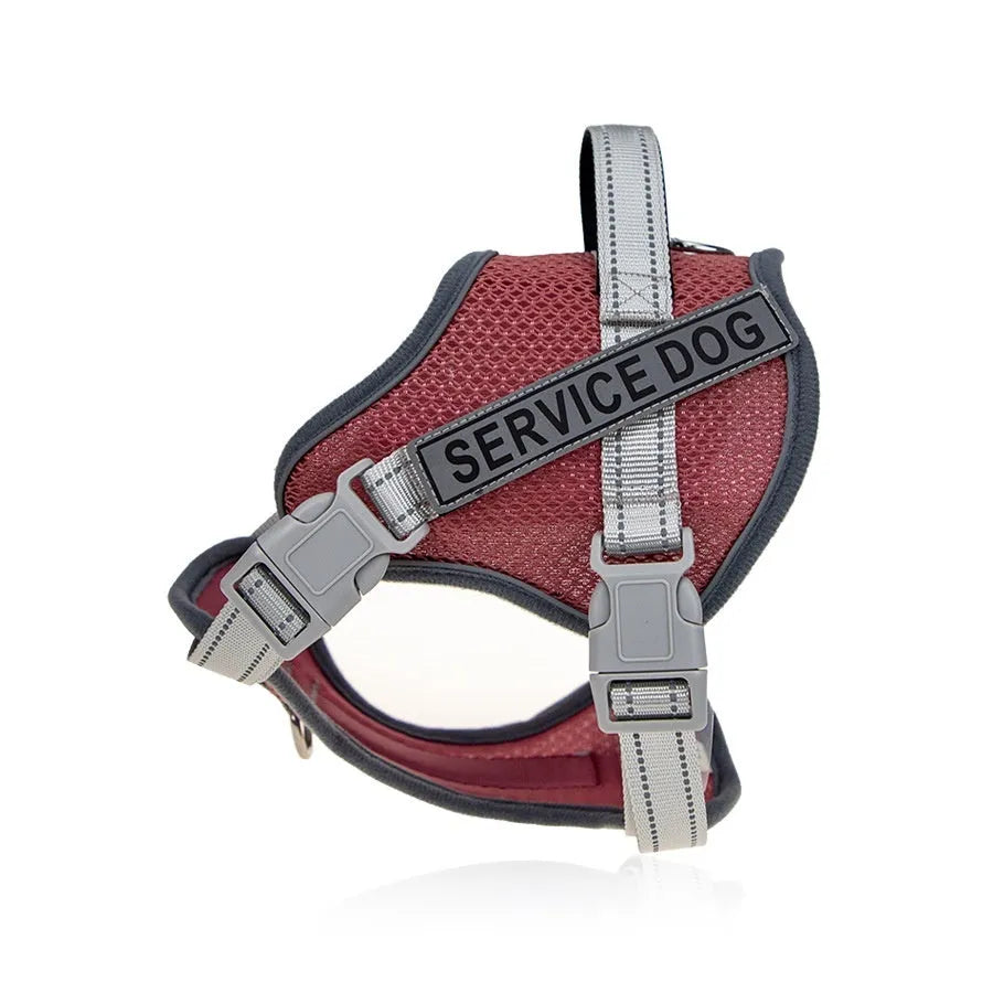 Colourful reflective polyester dog harness with anti-strangulation neck protection in multiple sizes