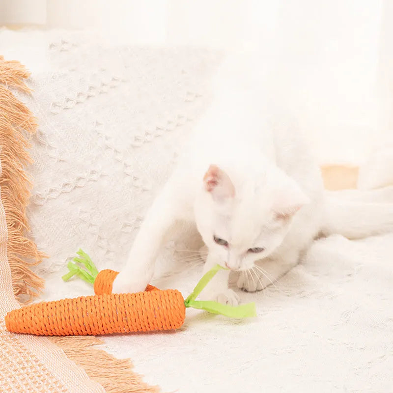 Set of four different cat toys including paper crinkle toys, ringing stones, textured sticks, and tooth grinding sticks