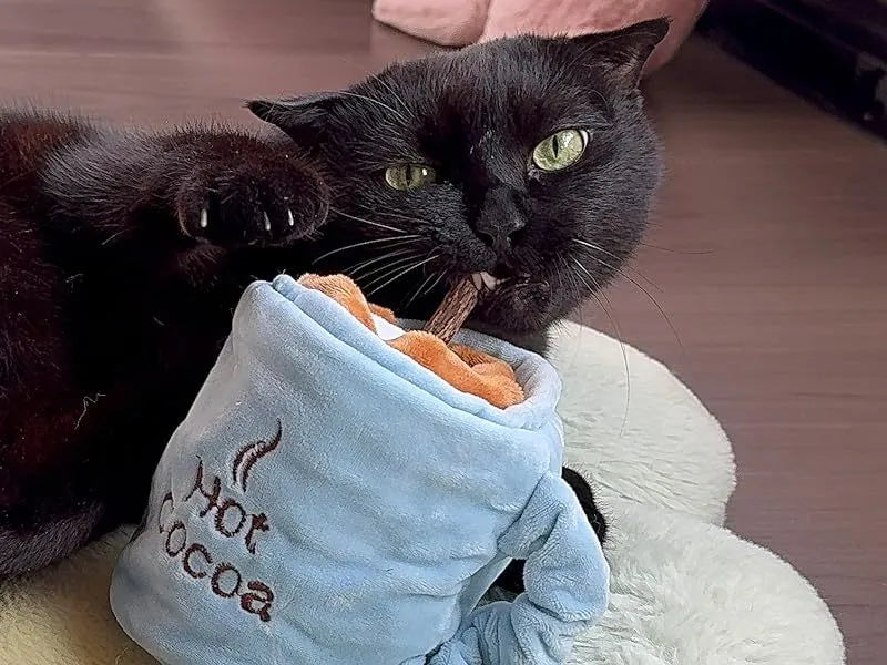 Blue interactive cat toy set with catnip, silvervine sticks, crinkle paper and squeaky toys for indoor cats