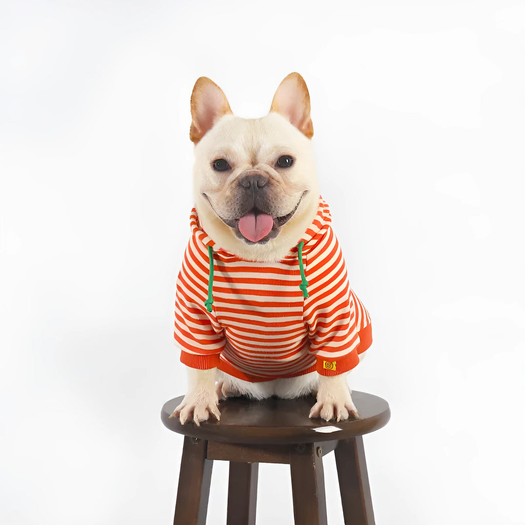 Orange cotton hooded dog sweater on a mannequin, showing Japanese style design.