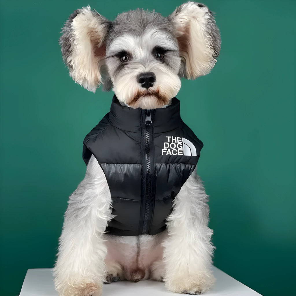 Thick warm down vest for small breed dogs in black, front view, with size S to XXL options