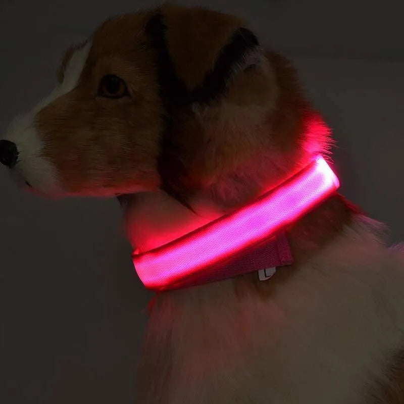 Nylon LED dog collar glowing blue on a black background, with adjustable buckle and four light modes for pet night safety