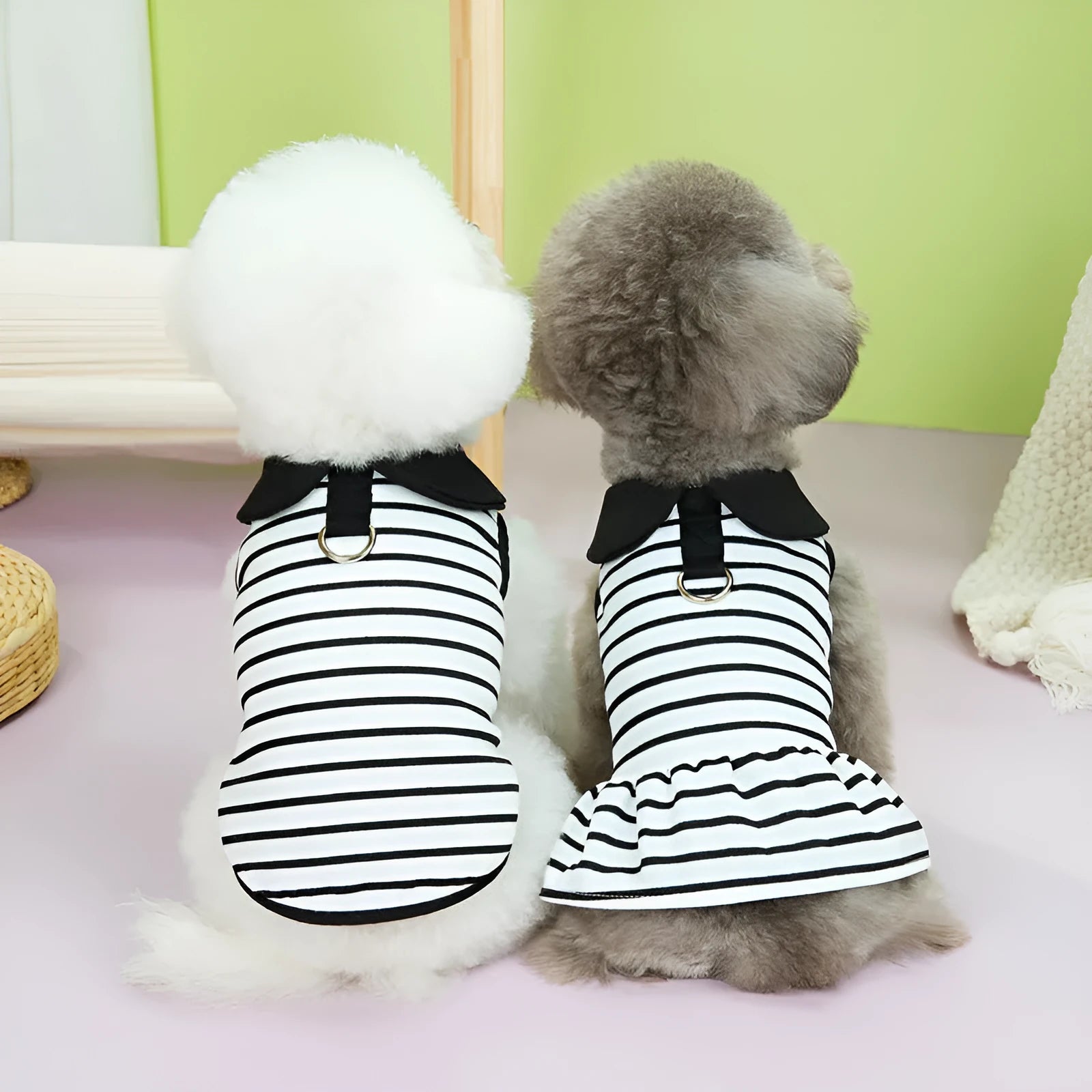 Cotton striped T-shirt and matching skirt set for a pet dog on a white background.