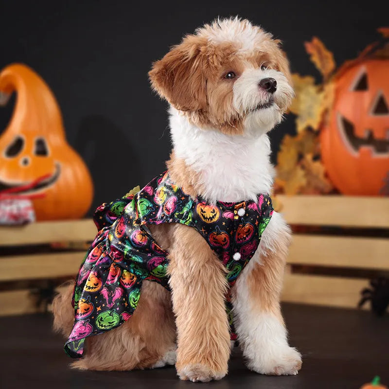 Dog wearing an orange angel wings Halloween costume with a bright pumpkin design.