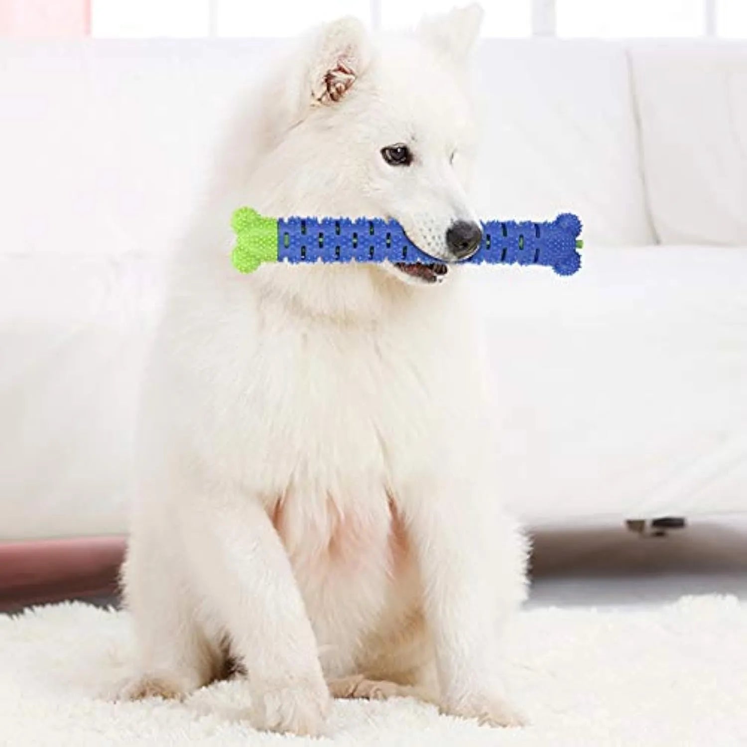Blue green silicone dog dental cleaning stick chew toy with brush head texture, measuring 25 cm.