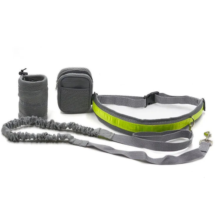 Adjustable hands free dog leash set with gray nylon retractable rope and waist bag on a grass field