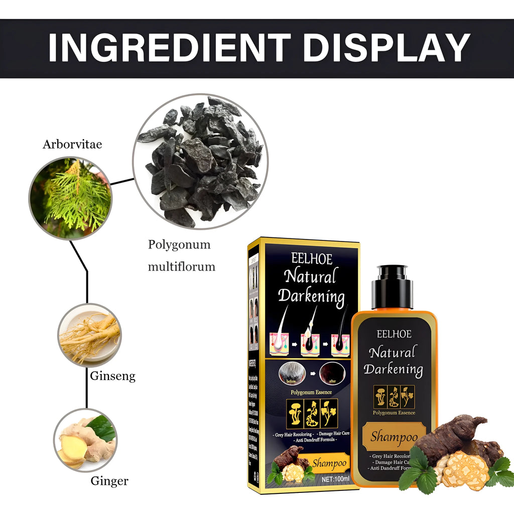Boxed 100ml bottle of Polygonum Multiflorum Shampoo for hair colour restoration.