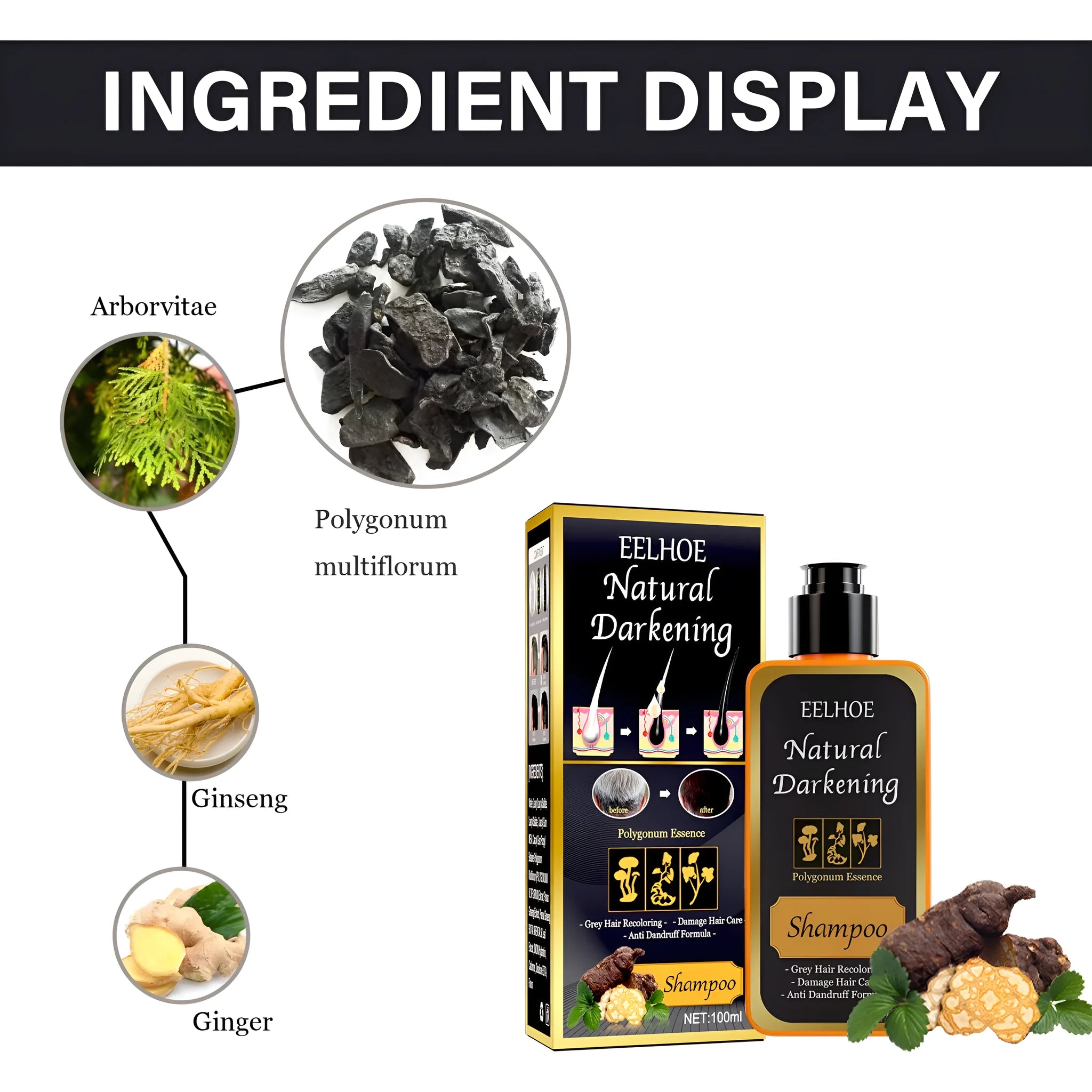Boxed 100ml bottle of Polygonum Multiflorum Shampoo for hair colour restoration.