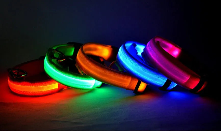 Nylon LED dog collar glowing blue on a black background, with adjustable buckle and four light modes for pet night safety