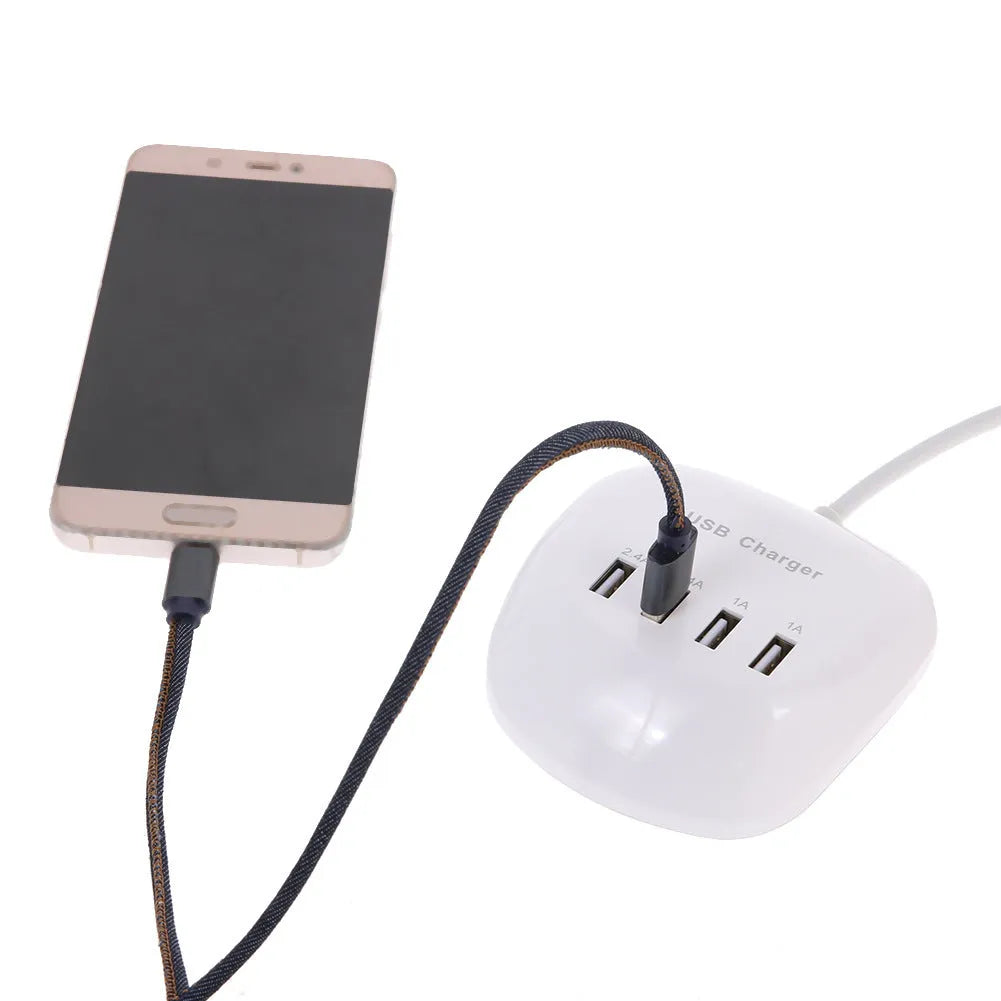 USB wall charger with EU and US plug options for mobile device charging