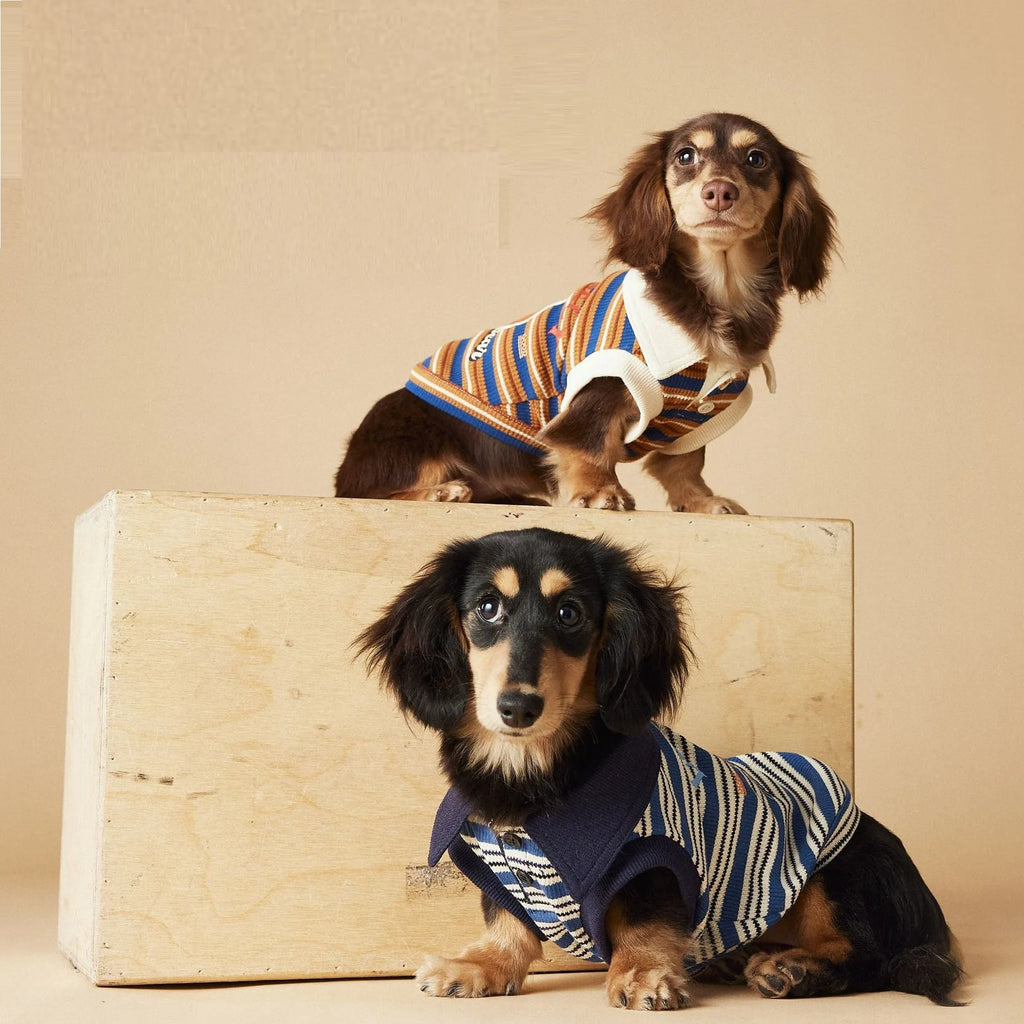 Tony Bear dog clothes striped polo shirt in cotton, blue colour, size L, on a white background