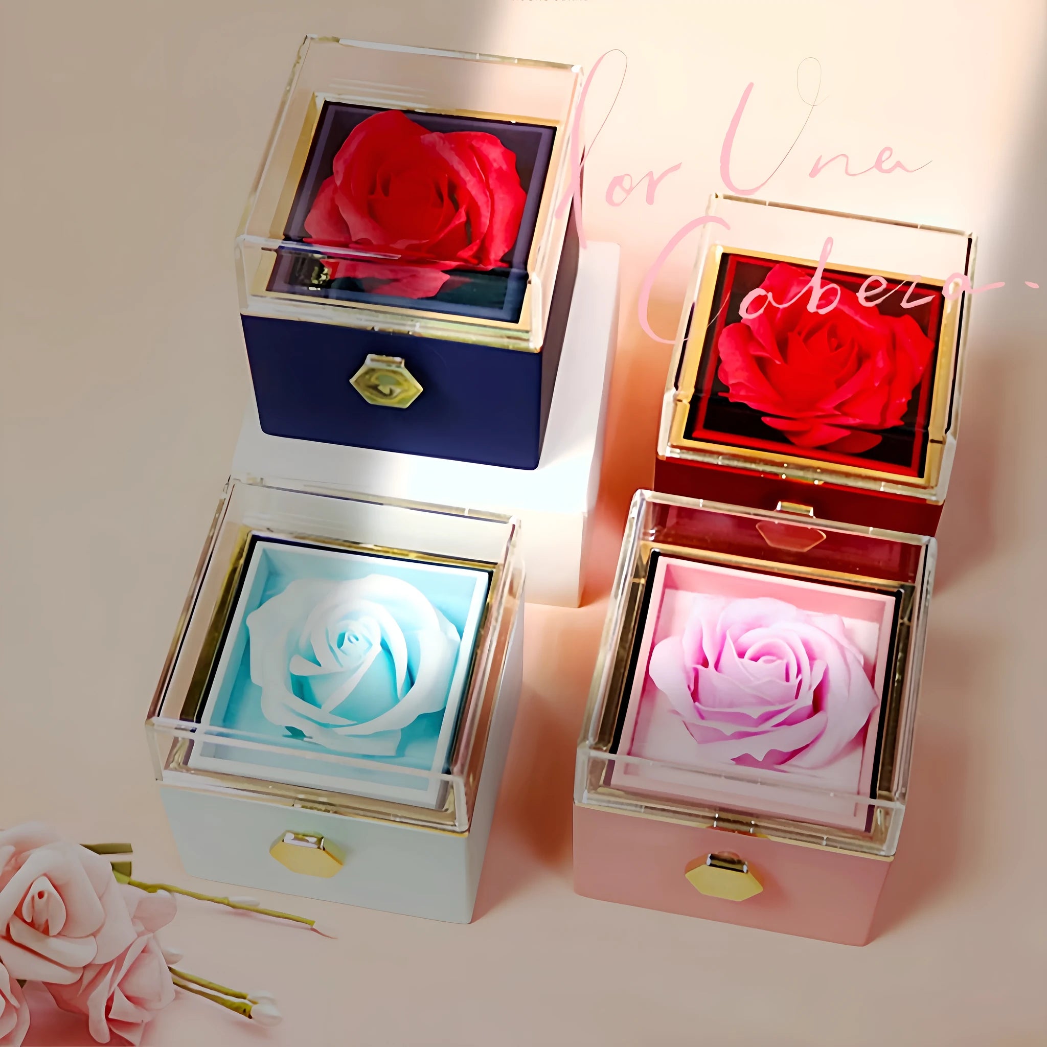 Rotating jewellery gift box with a preserved red rose under a clear acrylic dome.
