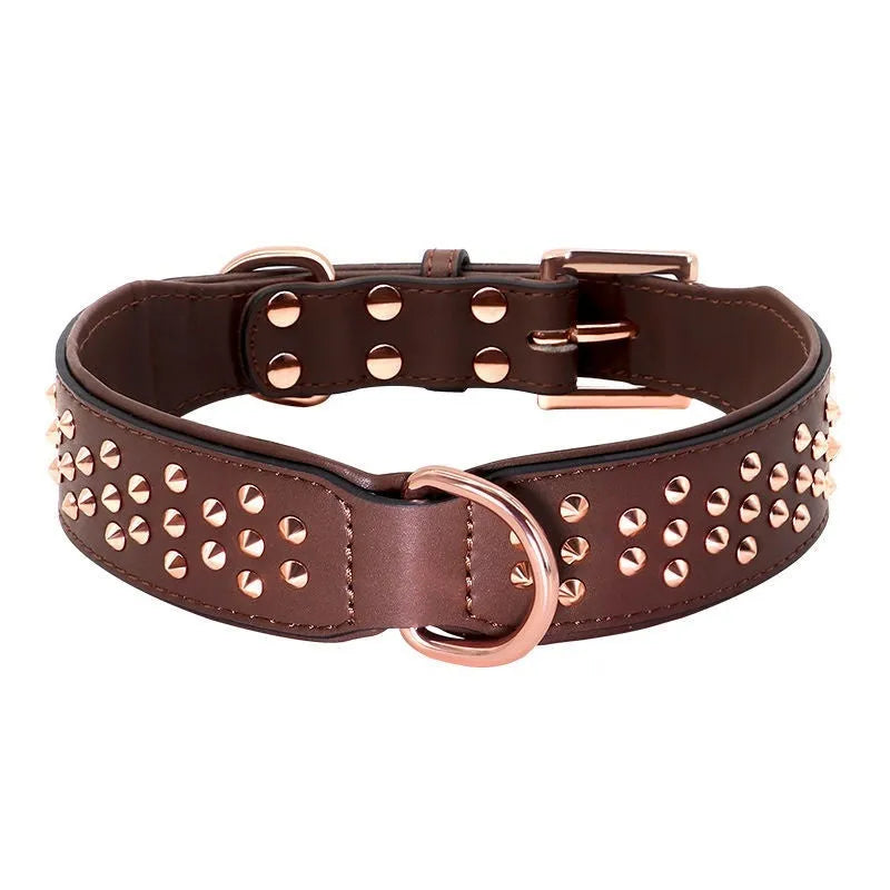 Close-up of a black leather dog collar with metal rivets and an adjustable buckle.