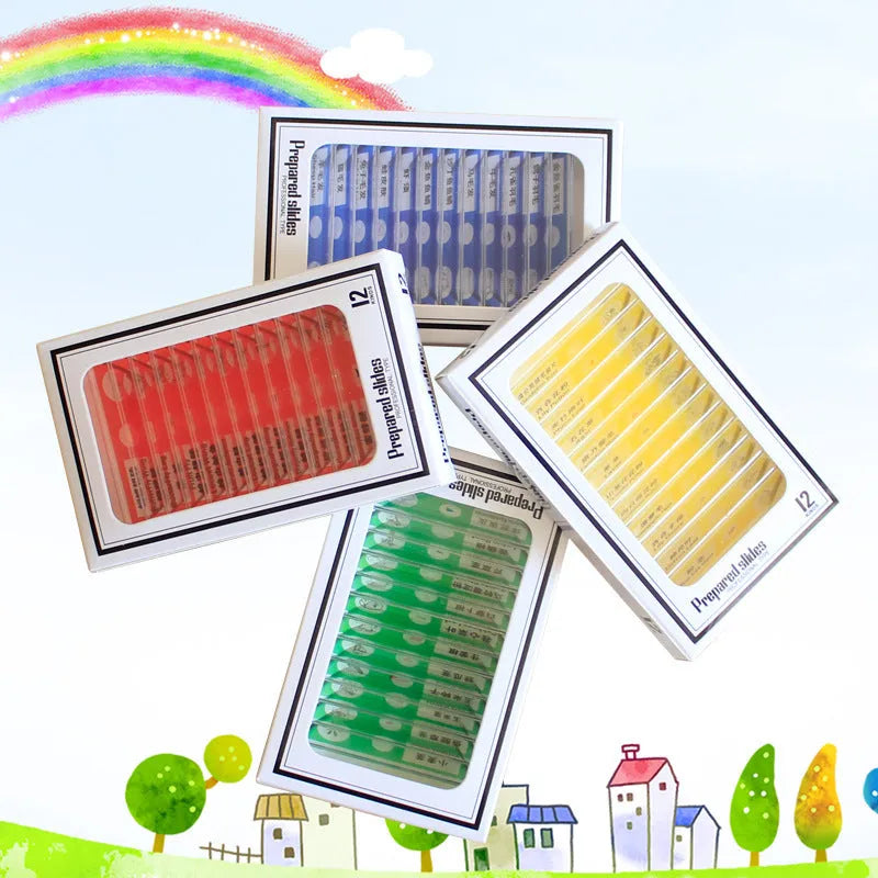48 plastic microscope slides in red, green, yellow, blue boxes with plant and animal specimens for children's science observation