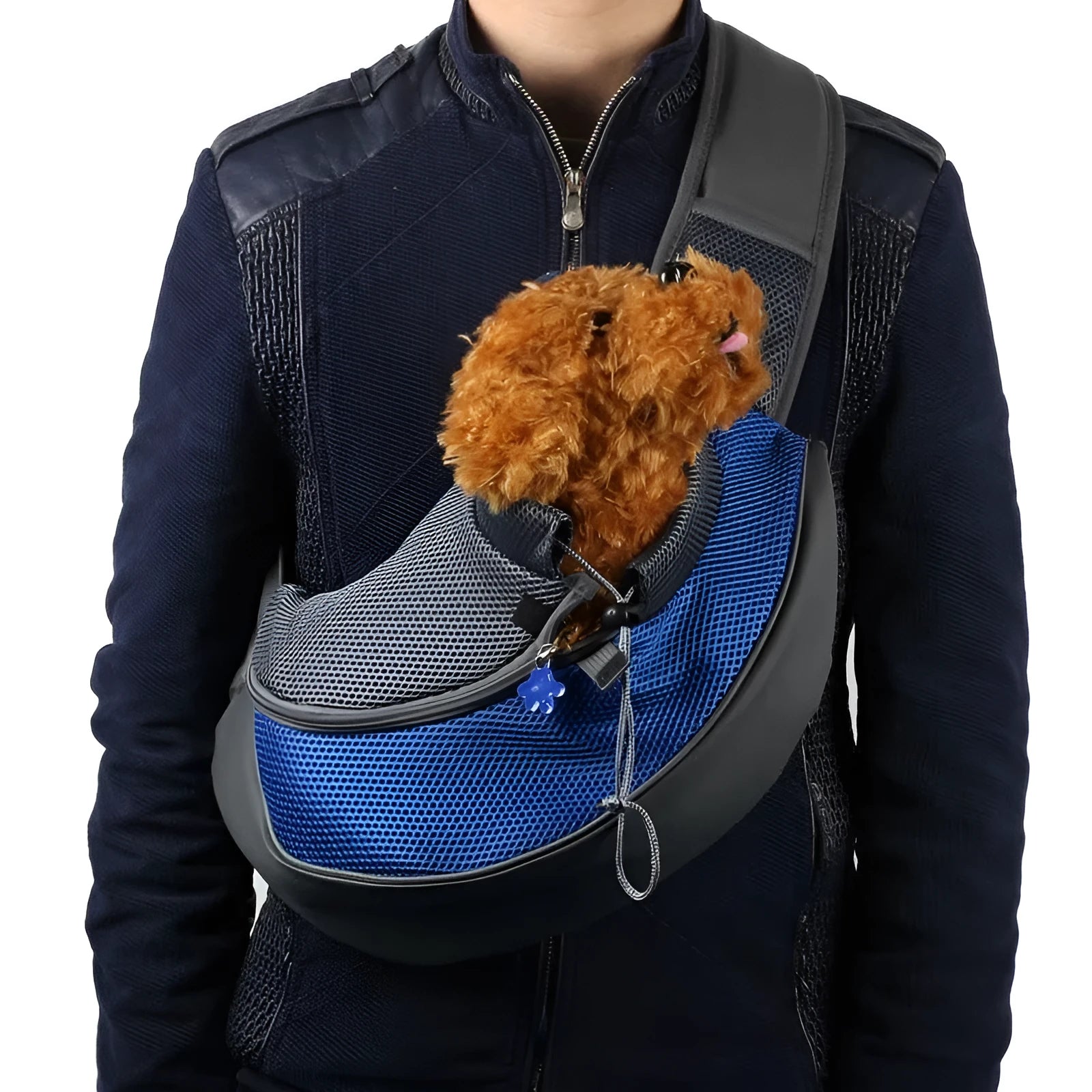Blue pet backpack carrier for a small cat, showing padded interior and adjustable straps.