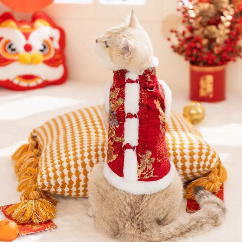 Pet Chinese New Year Tang suit coat with frog knot closure, brocade fabric, and fluffy fur trim on a small dog