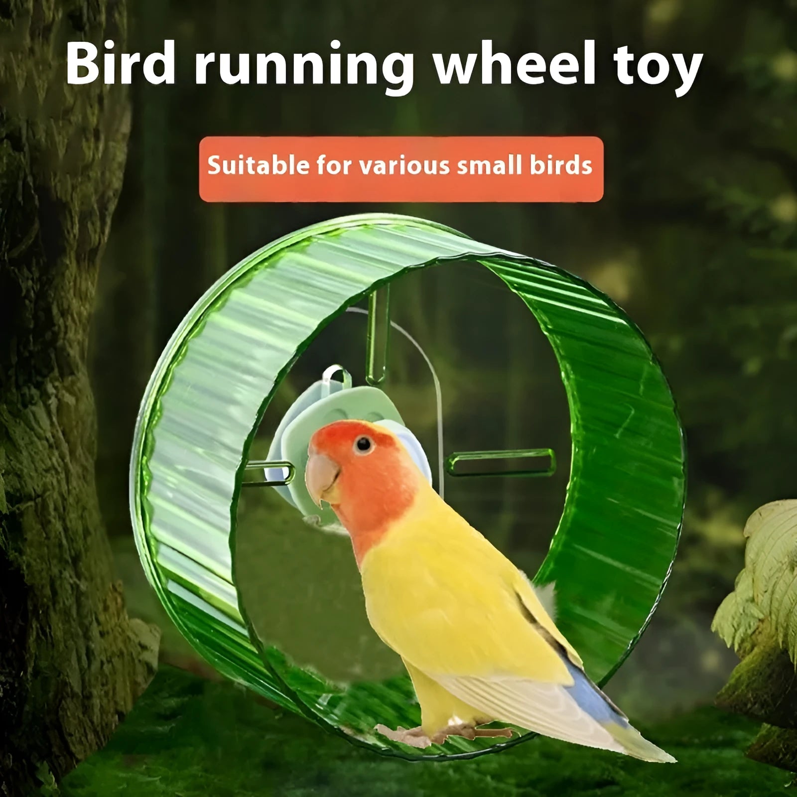 A plastic parrot running wheel exercise toy shown in a transparent colour.