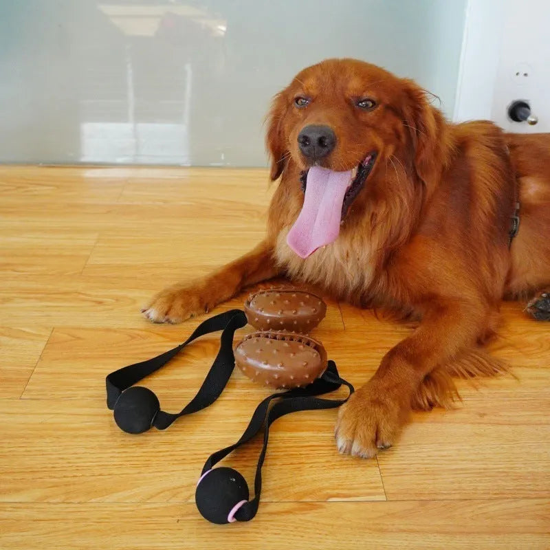 Coffee bean TPR dog toy with attached rope knot on light background