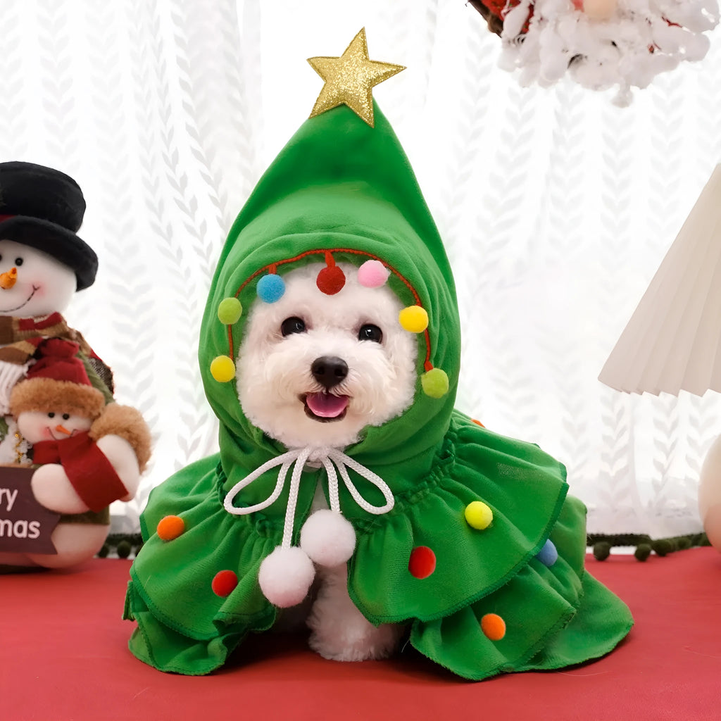 Cat wearing Christmas tree costume with star ornament in green