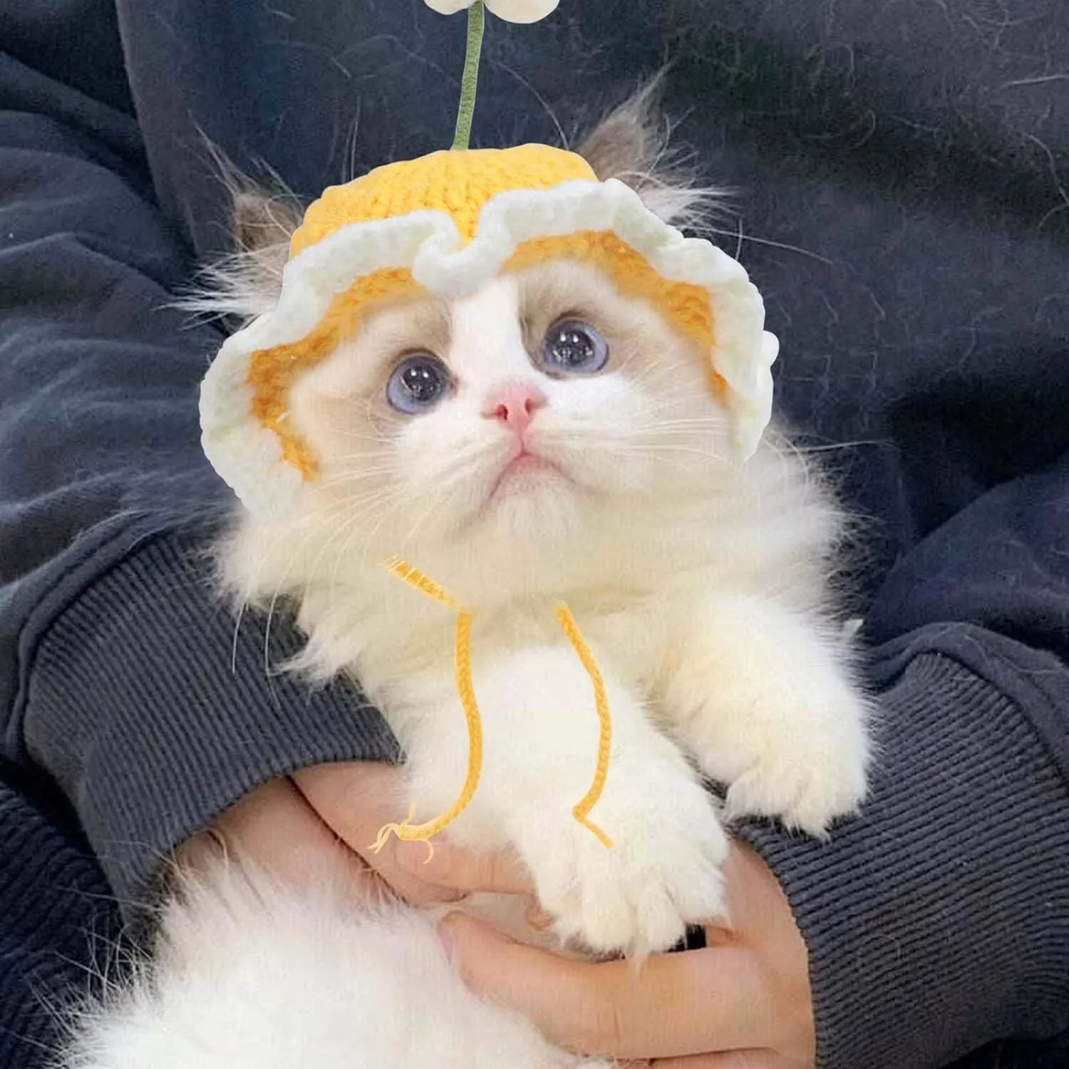 Green knitted cartoon cat hat on a pet mannequin head showing soft fabric and costume design.