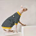 Black cotton top for Sphinx hairless cat in Europe America style, sizes XS-XXL