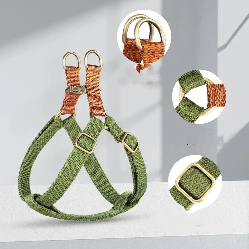 Brown vest-style anti-loss dog harness and lead fastened on a small dog.