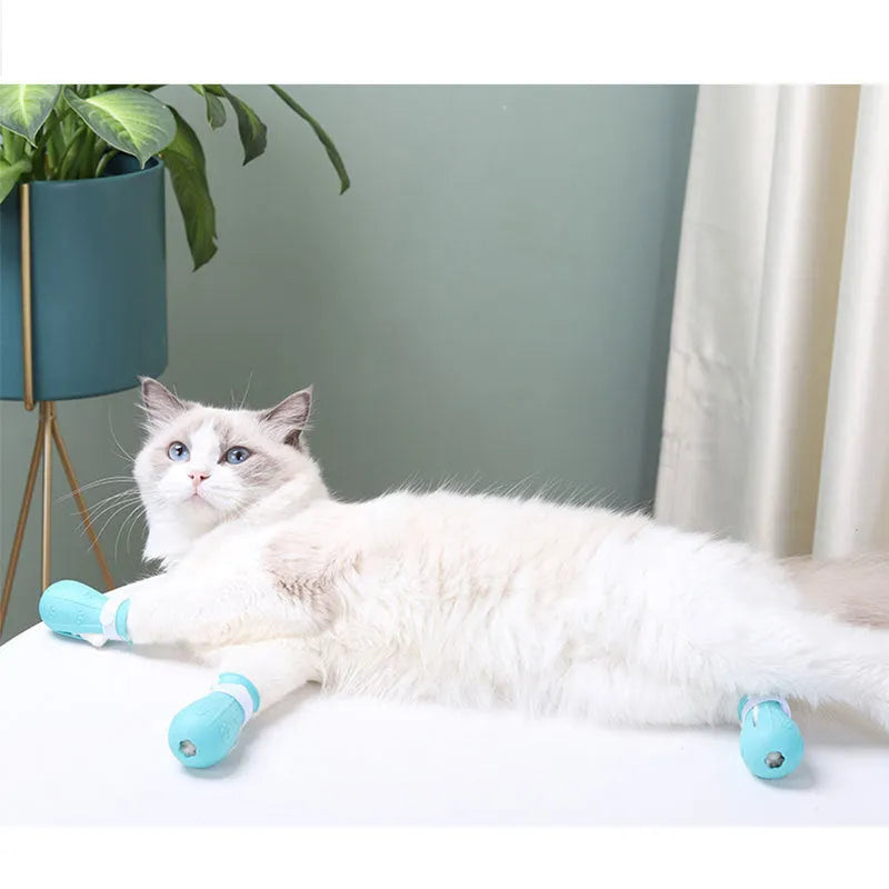 Set of four adjustable cat foot claw covers in light blue, light green, and pink, made from TPE with drainage holes and Velcro straps.