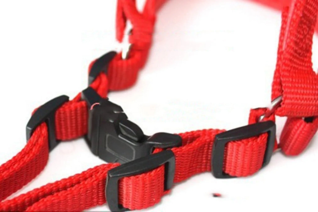 Polypropylene foam-lined pet harness in blue colour with adjustable chest strap
