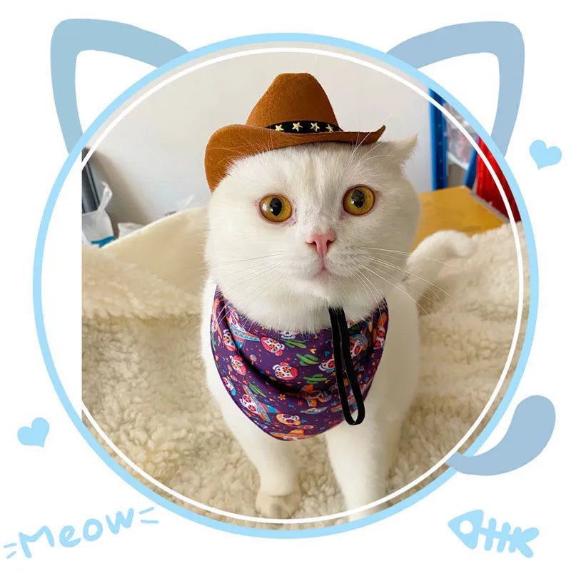 British cowboy hat for pets in non woven fabric with decorative velvet belt