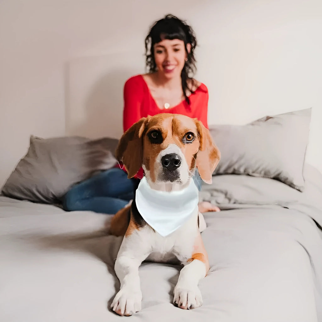 White polyester dog scarf blank ready for thermal transfer customisation in four sizes