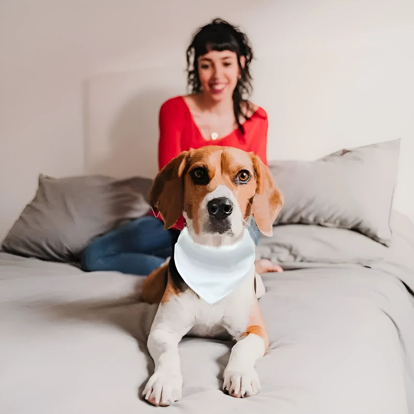 White polyester dog scarf blank ready for thermal transfer customisation in four sizes