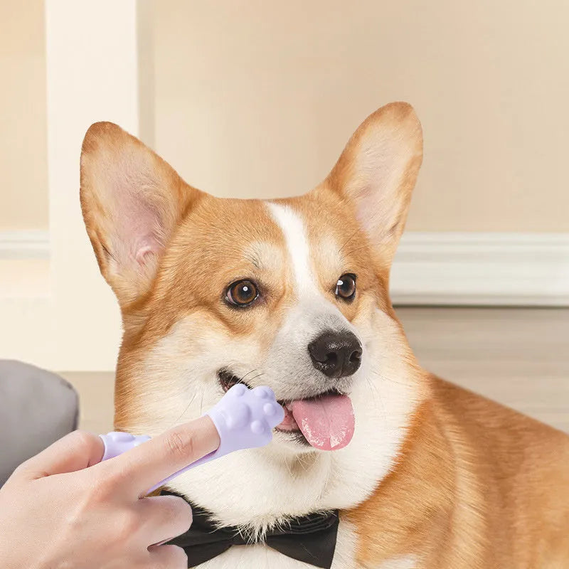 Pink silicone finger cover toothbrush for pets on a white background