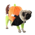 Black velvet Halloween pumpkin dog costume with size options from S to XXL for small to large dogs
