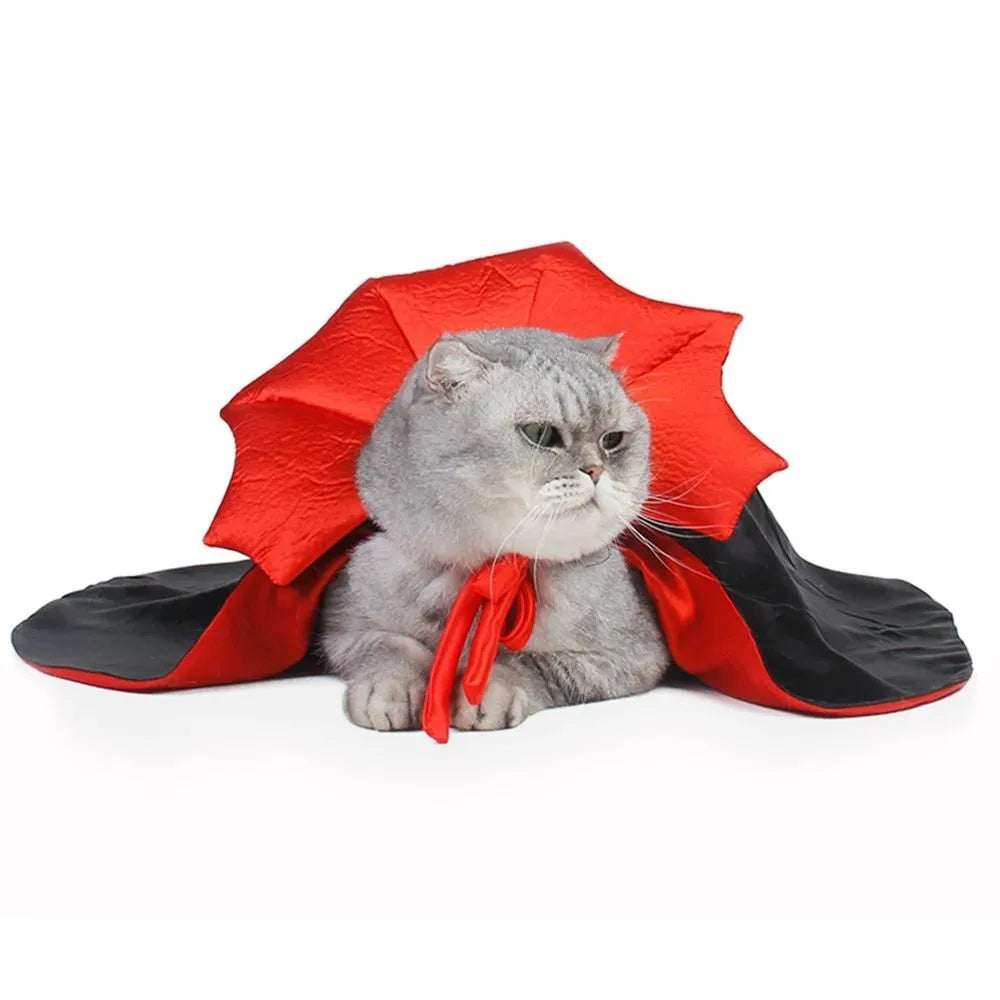 Black vampire cloak Halloween costume on a small dog or cat