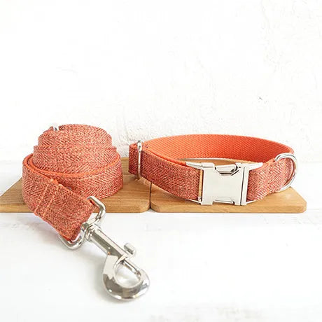 Double-layer thick pet leash set with adjustable polyester collar and metal buckle