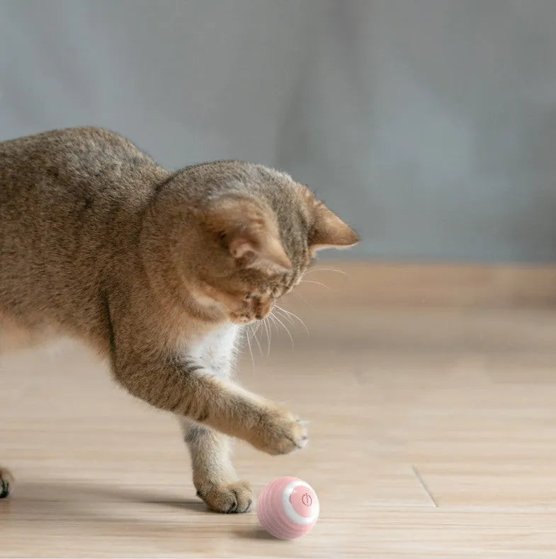 Blue rechargeable automatic moving cat ball toy on floor